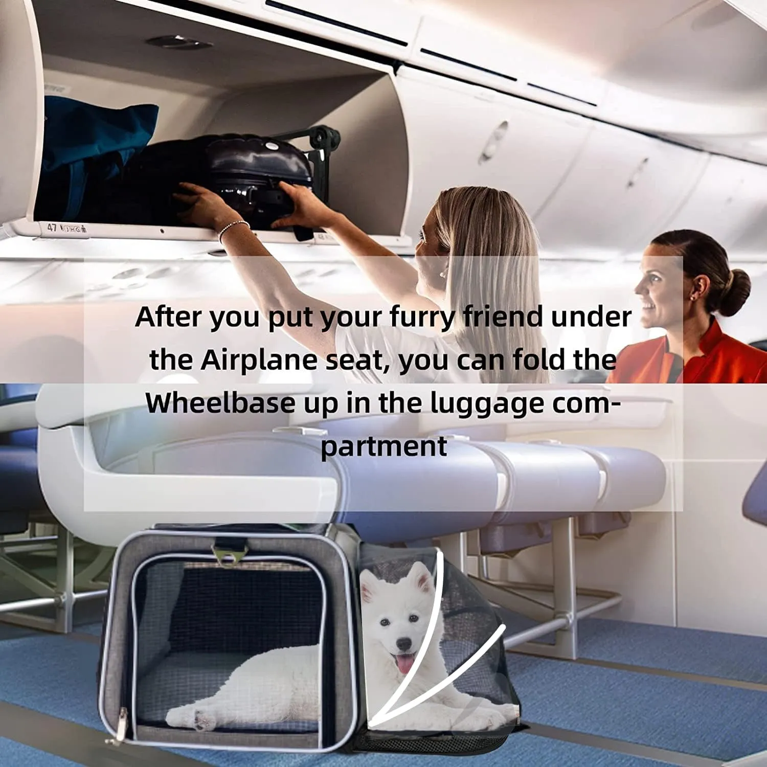 Airline Approved Expandable Premium Pet Carrier on Wheels