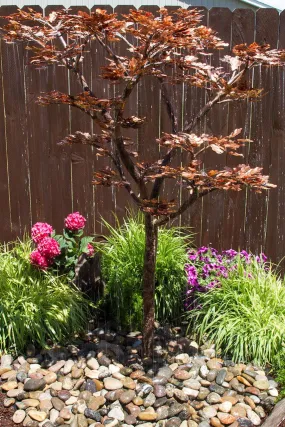 Copper Fountain Kit - Extra Tall Maple