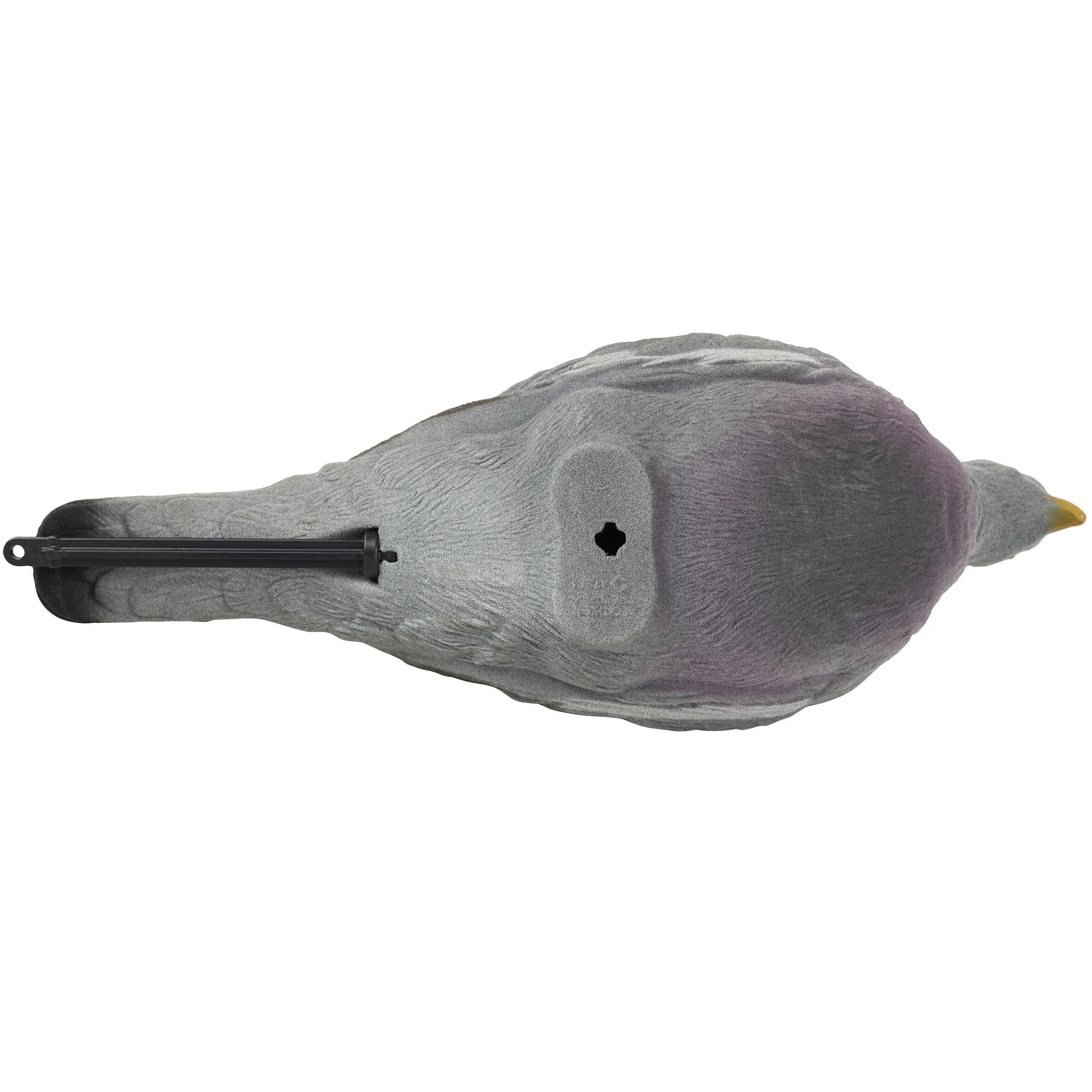 Decoy pigeon 3D VELOURS 900 SOLOGNAC