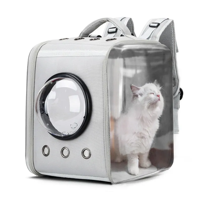 Durable Limited Transparent Pet Backpack