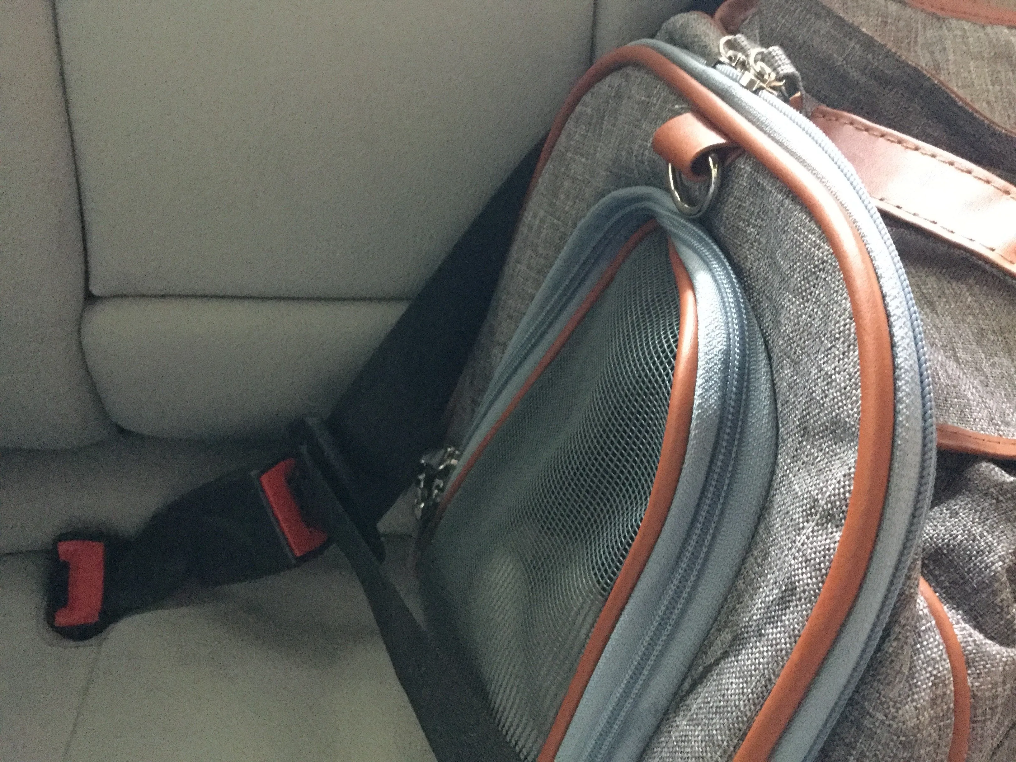 Mr. Peanut's Gold Series Airline Compliant Pet Carrier