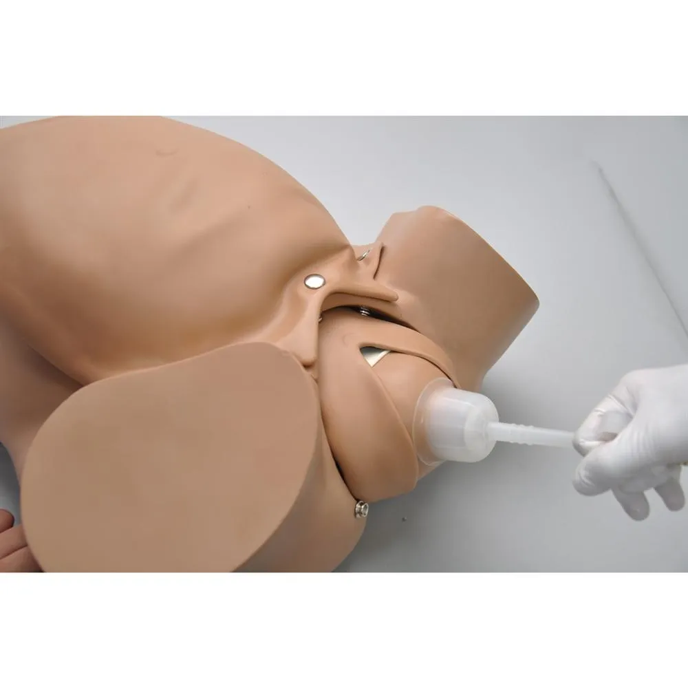 OB Susie® -  Advanced Childbirth Skills Trainer Torso, Light