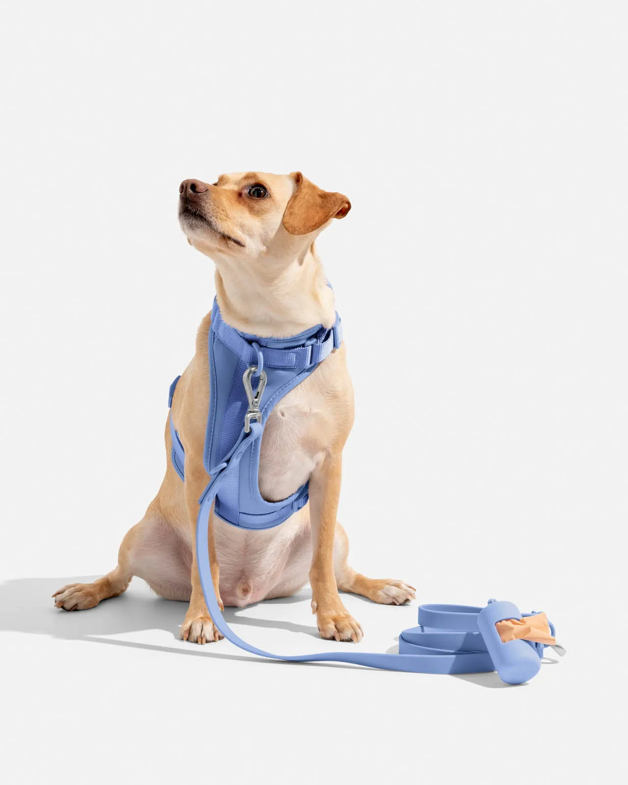 Splendid x Wild One Poop Bag Carrier