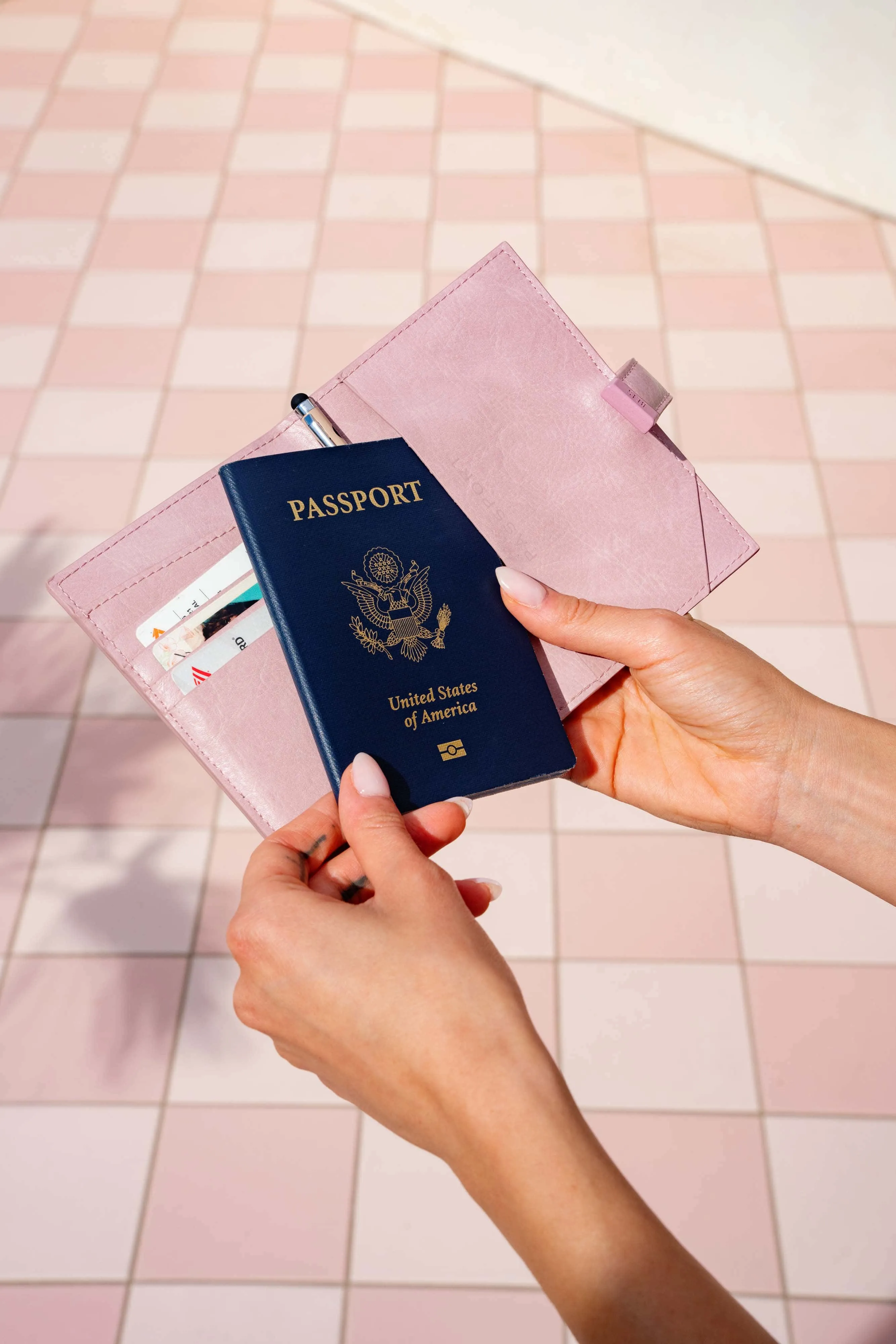 The Passport and Luggage Tag Set in Atlas Pink